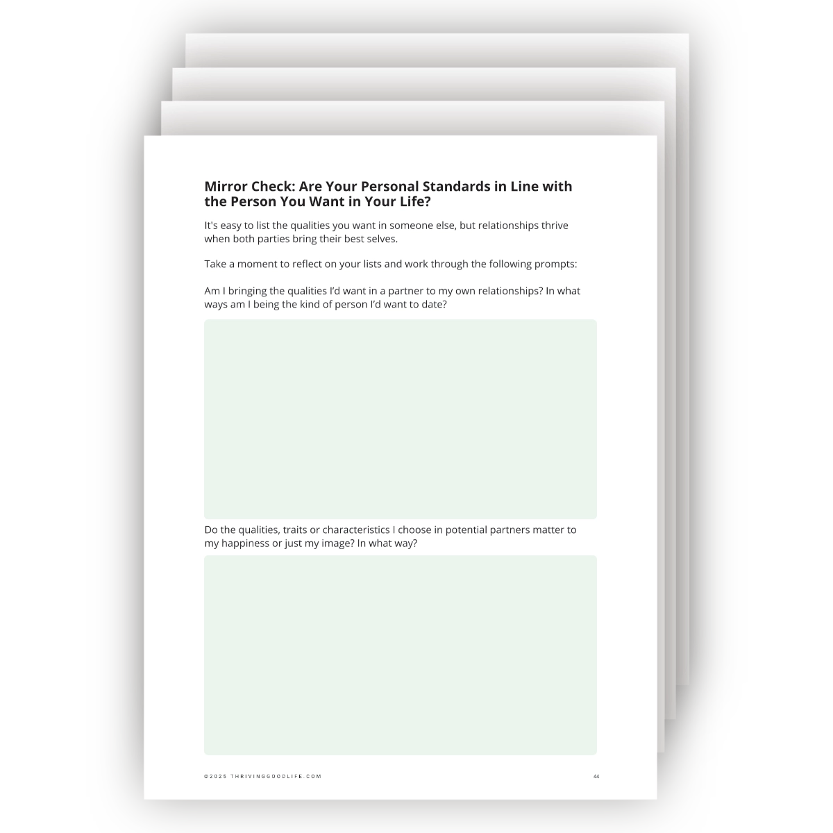 The Mirror Check framework pages from The Right Fit workbook