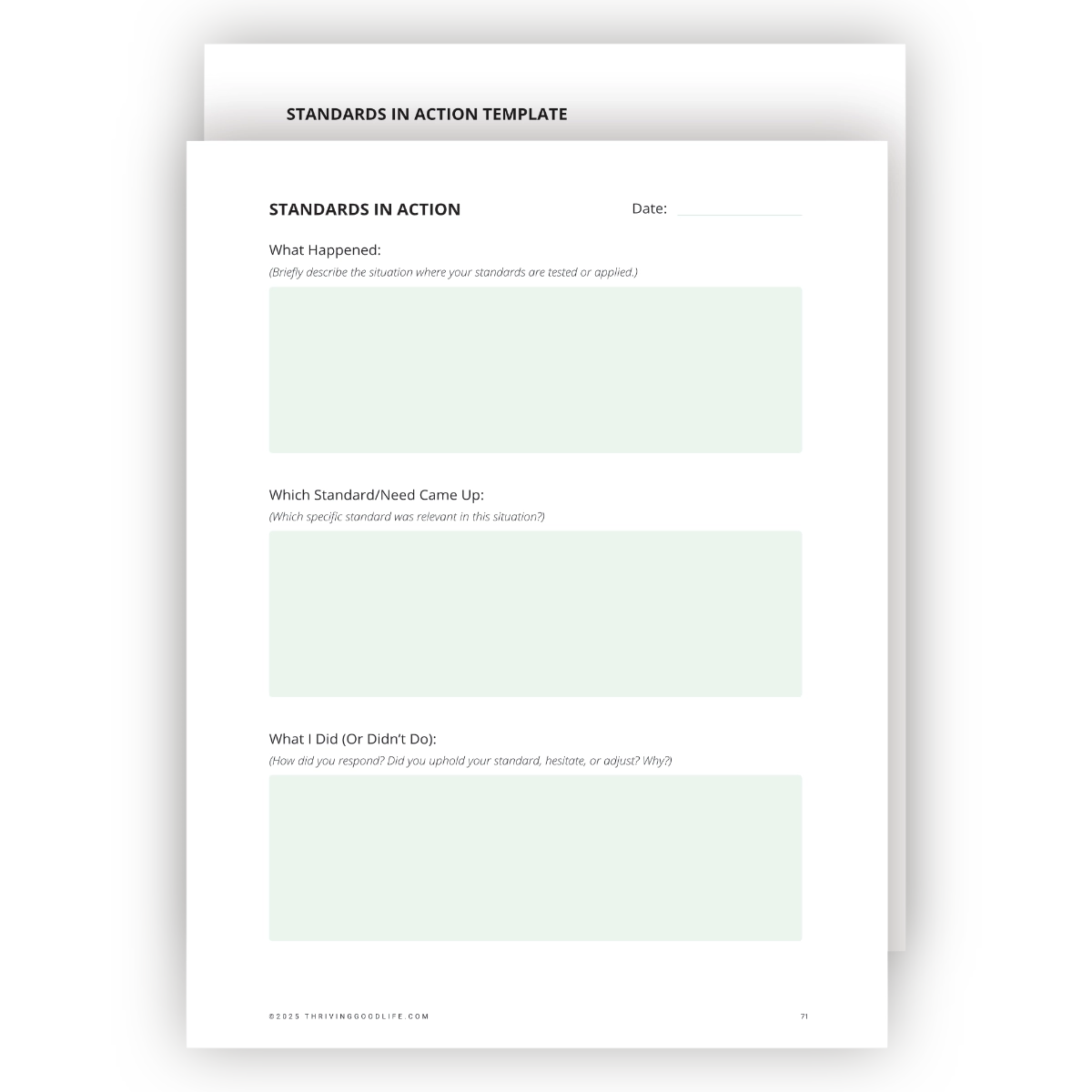The Standards in Action template pages from The Right Fit relationship workbook